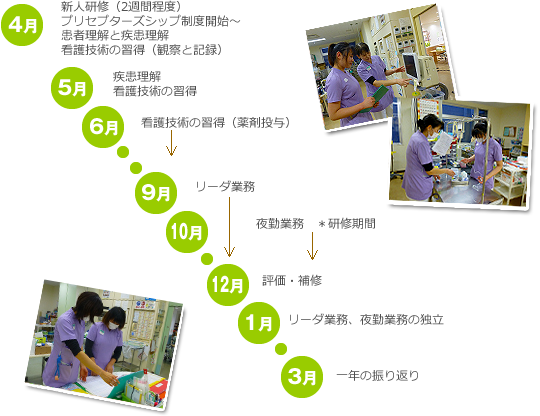 新人看護師研修　年間スケジュール